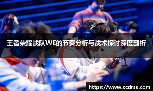 王者荣耀战队WE的节奏分析与战术探讨深度剖析